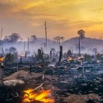 Estudos mostram Amazônia mais quente, seca e já mudando o clima do planeta