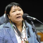 Joenia Wapichana: ‘Foi um mandato de resistência à boiada’