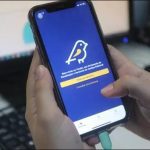 Aplicativo Pardal recebe denúncias de irregularidades sobre as Eleições 2022