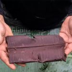 Chocolate Yanomami gera renda para indígenas e preserva a Amazônia