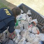 Mais de 800 kg de cassiterita são apreendidos pela PRF na BR-174, em Boa Vista