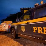 Carga irregular de queijo, farinha e tabaco é apreendida pela PRF na BR-174, em Boa Vista