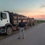 PRF flagra transporte de madeira ilegal em São João da Baliza
