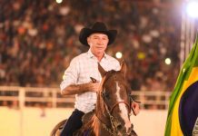 Roraima ultrapassa 1,29 milhão de cabeças de gado e avança apenas em um único setor: o que Denarium domina