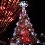 Cidade luz: Árvores gigantes e decoração especial encantam moradores de Boa Vista