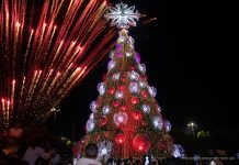 Boa Vista dá início à temporada natalina com acendimento das tradicionais árvores de Natal neste domingo (9)