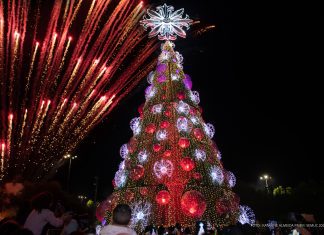 Boa Vista dá início à temporada natalina com acendimento das tradicionais árvores de Natal neste domingo (9)