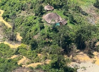 Morre Geraldo Kuesitheri Yanomami, liderança histórica na defesa da floresta em Roraima