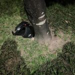 Motociclista morre na hora ao bater em poste na zona Oeste de Boa Vista