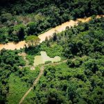 Greenpeace denuncia estrada clandestina de 150 km na Terra Yanomami em Roraima