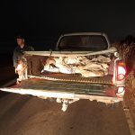 Polícia Militar apreende R$ 500 mil em minério extraído ilegalmente em Roraima