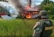 Comissão aprova projeto que impede destruição imediata de máquinas apreendidas em garimpo ilegal