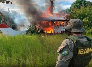 Comissão aprova projeto que impede destruição imediata de máquinas apreendidas em garimpo ilegal