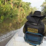 Pesca profissional está proibida a partir desta quarta (1°) em Roraima