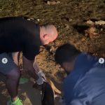 Polícia conclui que não houve maus tratos contra animais desovados no anel viário