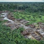 Prorrogada presença da Força Nacional na Terra Indígena Pirititi