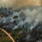 Queimadas em terras Yanomami caem 62% nos dois primeiros meses de 2023