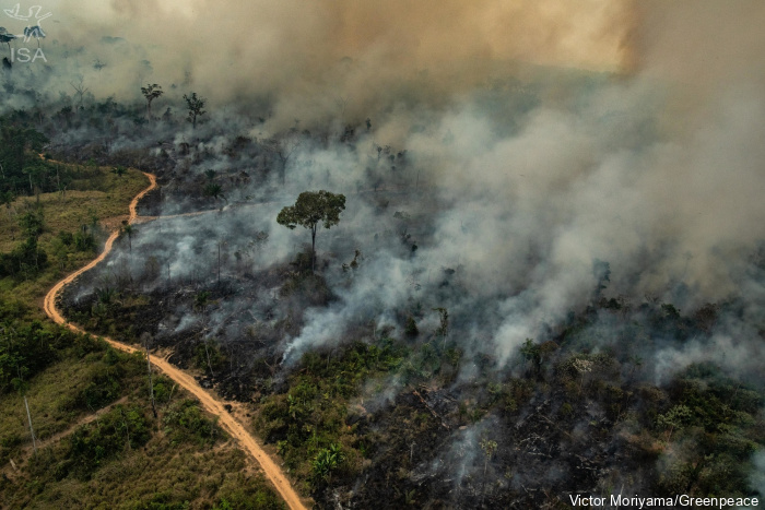 Área queimada aumenta 410% em fevereiro em Roraima