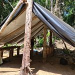 Operação contra trabalho escravo resgata 35 pessoas em Roraima