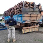 Quase 30 m³ de madeira irregular são apreendidos pela PRF em Roraima