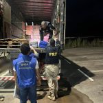 Cargas com 200 kg de peixe e 360 litros de mel são apreendidas pela PRF no interior de Roraima
