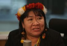 Joenia Wapichana deixa a Rede após 9 anos e se prepara para disputar vaga na Câmara