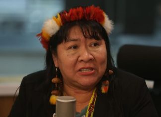 Joenia Wapichana deixa a Rede após 9 anos e se prepara para disputar vaga na Câmara