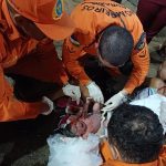 Grávida pede socorro e bombeiros realizam parto em frente ao quartel em Boa Vista
