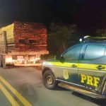 PRF em Roraima apreende 22 m³ de madeira na BR-432