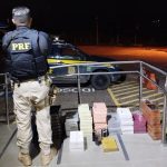 Mais de 1,2 mil caixas de perfumes falsificados são apreendidas na BR-174