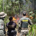 Três aeronaves usadas por garimpeiros na TI Yanomami são destruídas pela PF e Ibama