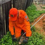 Jacaré de 1,5 m é resgatado em quintal de casa na zona Oeste de Boa Vista