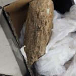 Ação intercepta pedra que estava sendo enviada no lugar de celular e homem é preso em Boa Vista
