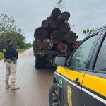 Adolescente é flagrado dirigindo caminhão com 20 m³ de madeira irregular na BR-210, em Caroebe