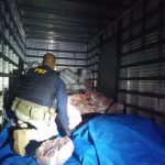 Meia tonelada de carne bovina com mau cheiro é apreendida na BR-174, em Boa Vista
