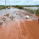 Câmara dos Deputados cria frente parlamentar em defesa da BR-319