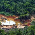 Mulher com sinais de violência sexual é encontrada morta em TI Yanomami