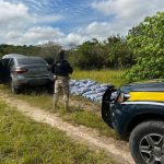 Uma tonelada de alho contrabandeado da Guiana é apreendido pela PRF na BR-401, em Cantá