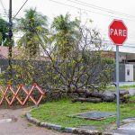 Previsão é de chuvas para os próximos dias em Roraima