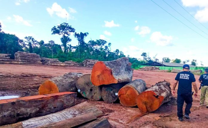 WhatsApp Image 2023-06-01 at 14.08.01