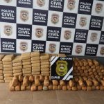 Polícia Civil faz apreensão recorde de skunk no interior de Roraima