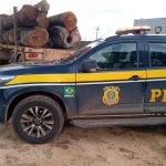 Reboque adulterado é apreendido pela PRF na BR-432