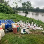 PF prende garimpeiro com toneladas de cassiterita na Terra Yanomami