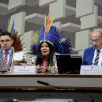 Em comissão no Senado, Sonia Guajajara nega ofensa aos roraimenses