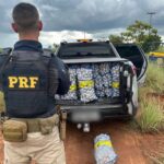 Carga com mais de uma tonelada de alho contrabandeado é apreendida na BR-401