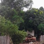 Motorista com sinais de embriaguez bate caminhão em carro estacionado e invade quintal de casa em Boa Vista