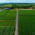 Prefeitura de Boa Vista pretende transformar CDT e CCTI em Instituto de Ciência e Tecnologia