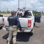 PRF apreende moto adulterada em Boa Vista