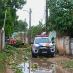 Defesa Civil de Boa Vista trabalha para retirar árvores e galhadas após temporal no fim de semana