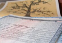 Helena e Ravi lideram ranking de nomes mais registrados no Brasil em 2025